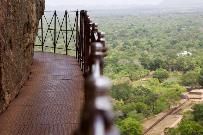 From Colombo: Sigiriya Rock, Dambulla & National park safari - Key Points