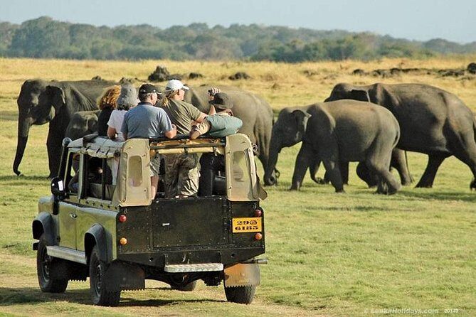 From Colombo: Sigiriya Rock, Dambulla & National park safari - FAQs