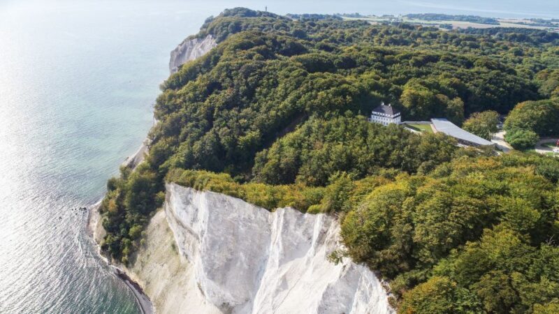 From Copenhagen: Round-Trip to Møns Klint and Forest Tower - Discovering Denmark’s Coastal Marvels and Forest Tallness