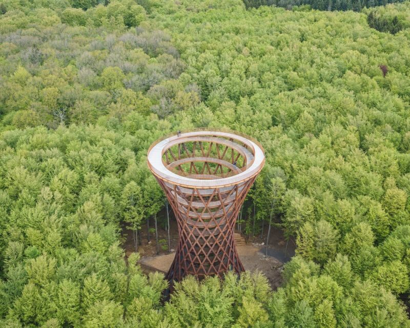From Copenhagen: Round-Trip to Møns Klint and Forest Tower - The Forest Tower: A Modern Marvel in the Woods
