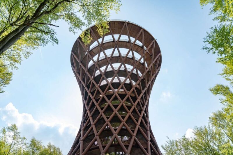 From Copenhagen: Round-Trip to Møns Klint and Forest Tower - Practical Details and Value