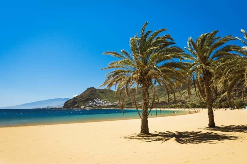 From Costa Adeje or Santa Cruz: Contrasts of Tenerife Tour - What’s Included and What to Consider