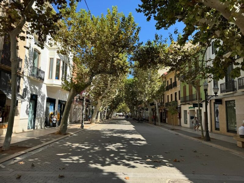 From Costa Blanca: Denia and Mediterranean Gardens Day Trip - Exploring the Mediterranean Gardens of LAlbarda