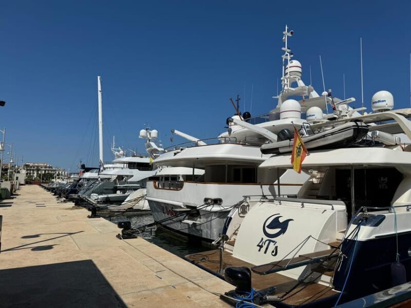 From Costa Blanca: Denia and Mediterranean Gardens Day Trip - The Charm of Denia’s Port and Old Town