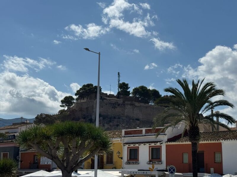 From Costa Blanca: Denia and Mediterranean Gardens Day Trip - Transportation and Group Dynamics