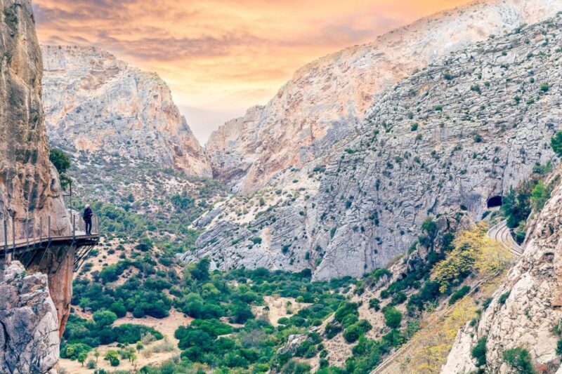 From Costa del Sol: Caminito del Rey Day Trip - Who Will Love This Tour?