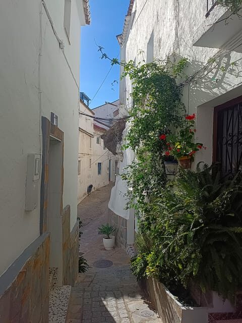 From Costa del Sol: Casares Private Tour - Key Points