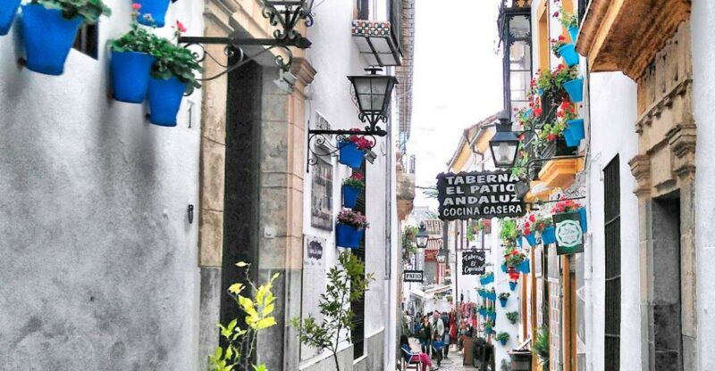 From Costa del Sol: Day Trip to Cordoba Free Time - Key Points