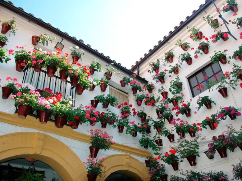 From Costa del Sol: Day Trip to Cordoba Free Time - The Journey Begins: From Costa del Sol to Córdoba