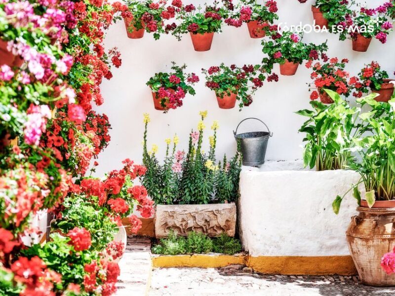 From Costa del Sol: Day Trip to Cordoba Free Time - Who Should Consider This Tour?