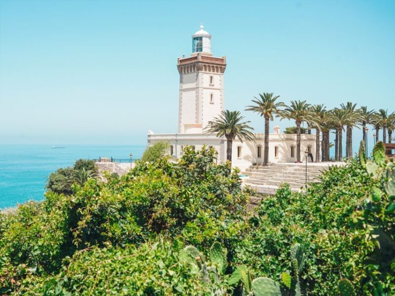 From Costa del Sol: Discover Tangier on a Guided Day Trip - An In-Depth Look at the Tour Experience