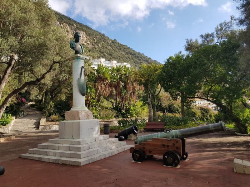 From Costa del Sol: Gibraltar Dolphin Watching by Boat - An In-Depth Look at the Experience