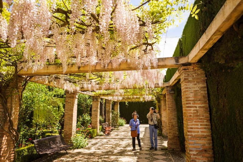 From Costa del Sol: Granada Full-Day Tour - A Deep Dive Into the Granada Full-Day Tour