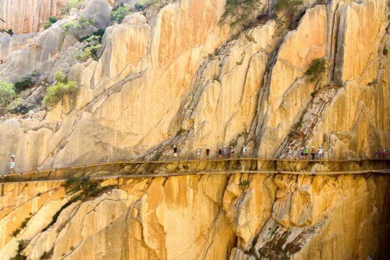 From Costa del Sol & Malaga: Caminito del Rey Guided Tour - Value for Money and Overall Experience