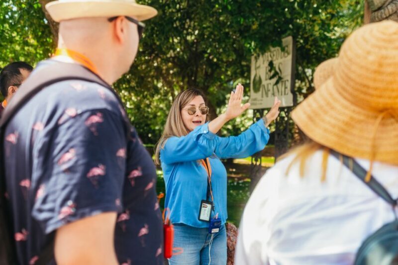 From Costa del Sol: Ronda and Setenil de las Bodegas - Key Points