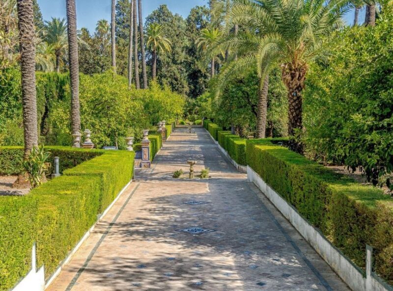 From Costa del Sol: Seville Day Trip - Optional Attractions and Final Return