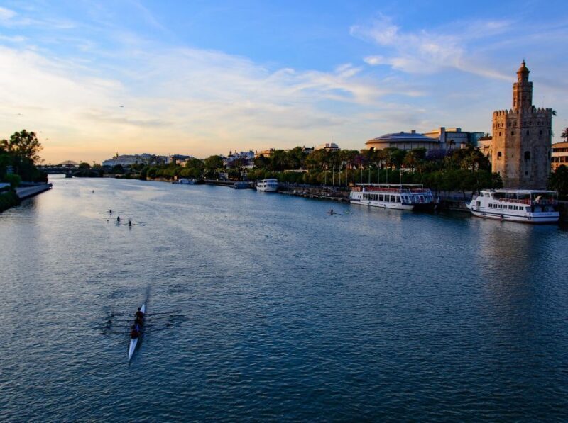 From Costa del Sol: Seville Day Trip - Transportation and Comfort