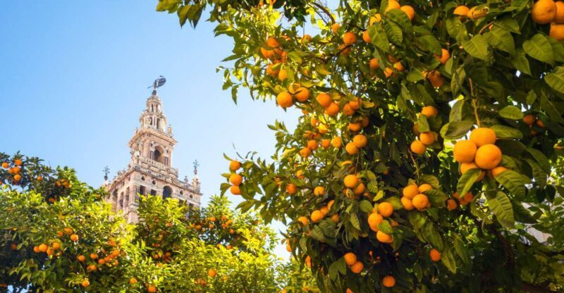 From Costa del Sol: Seville Day Trip - Duration and Timing