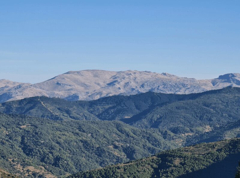 From Costa del Sol: Sierra Bermeja Private Hiking Tour - The Practicalities: What You Need to Know