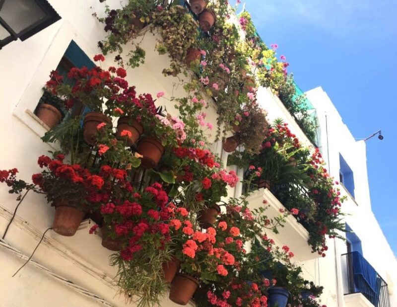 From Costa Dorada: Peñíscola and Ebro Delta Sightseeing Tour - The Sum Up