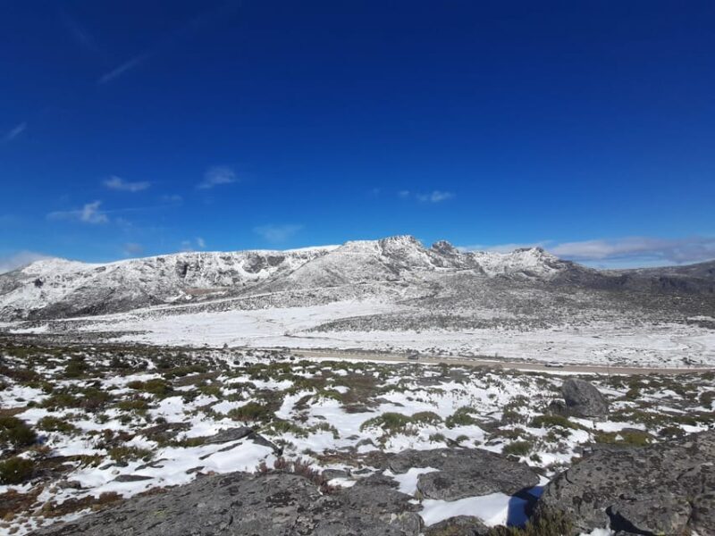 From Covilhã: Serra da Estrela Guided Tour with Lunch - Why This Tour Works Well