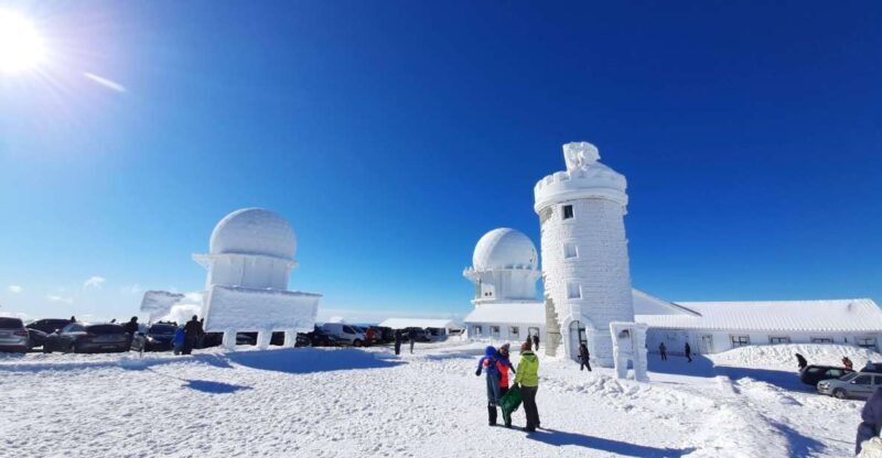 From Covilhã: Tour Serra da Estrela e Covão d'metade - In-Depth Look at the Tour Experience