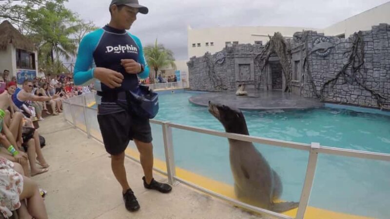 From Cozumel: Chankanaab Admision + Snorkel +Open Bar +Lunch - The Authentic Touch and Authentic Experiences