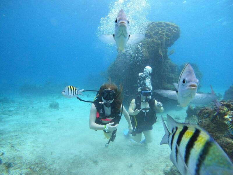 From Cozumel: Chankanaab Cozumel Scuba Diving - The Bottom Line: Is This Tour Right for You?