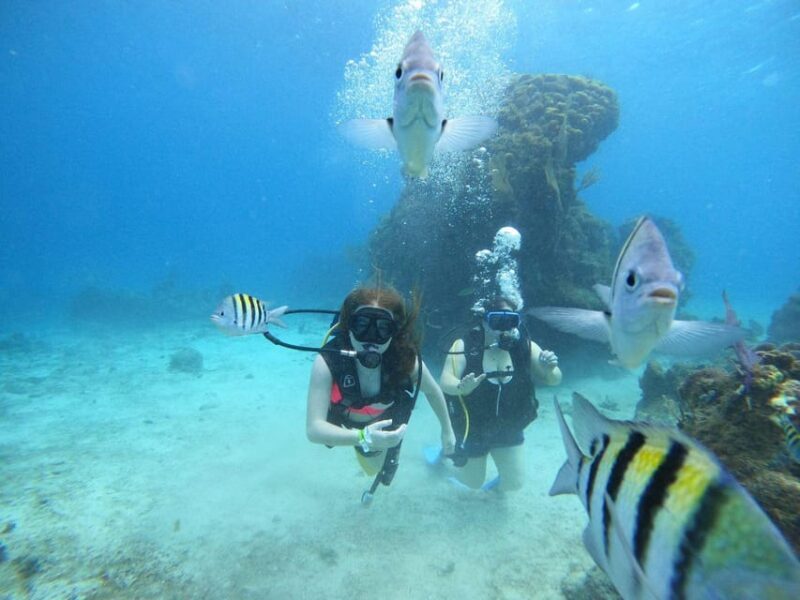 From Cozumel: Chankanaab Cozumel Scuba Diving - FAQ
