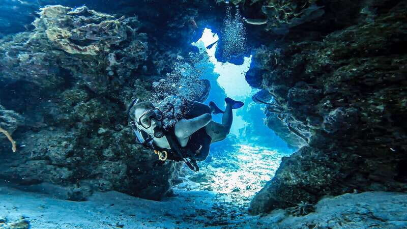 From Cozumel: Double Tank Scuba Diving for Certified Divers - Who Will Love This Experience?