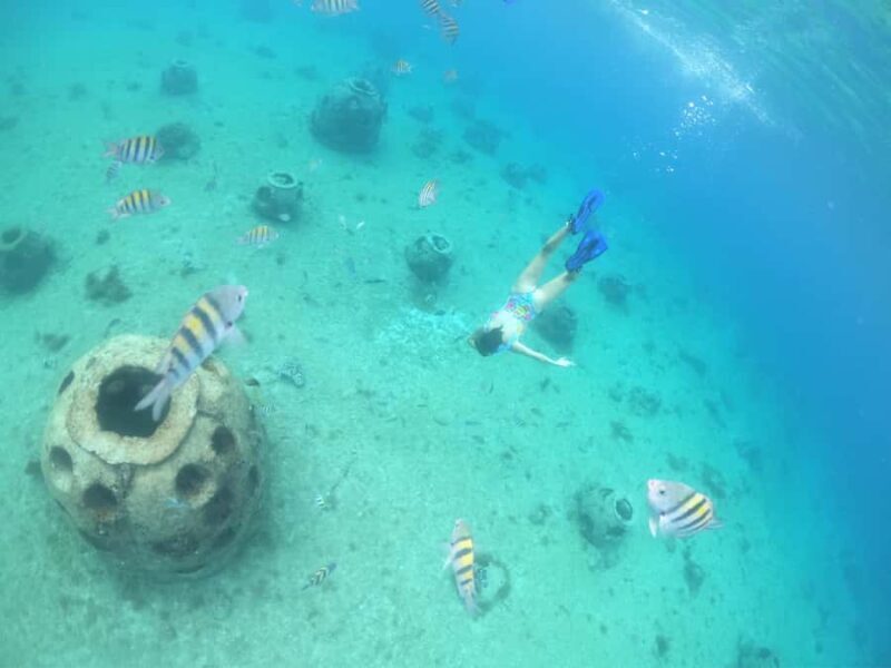 From Cozumel: Invisible Boat tour with Snorkeling - Who Should Consider This Tour?