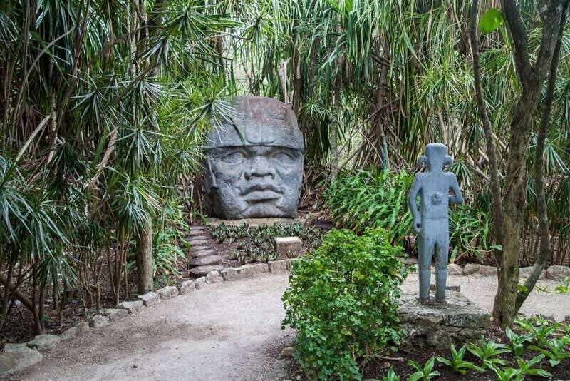 From Cozumel: Official Chankanaab Park Day Pass and Snorkel - Real Traveler Insights