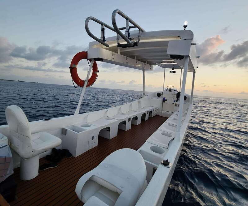 From Cozumel: Snorkel Private Charter to el Cielo & Cielito - Exploring the Itinerary: What You Can Expect