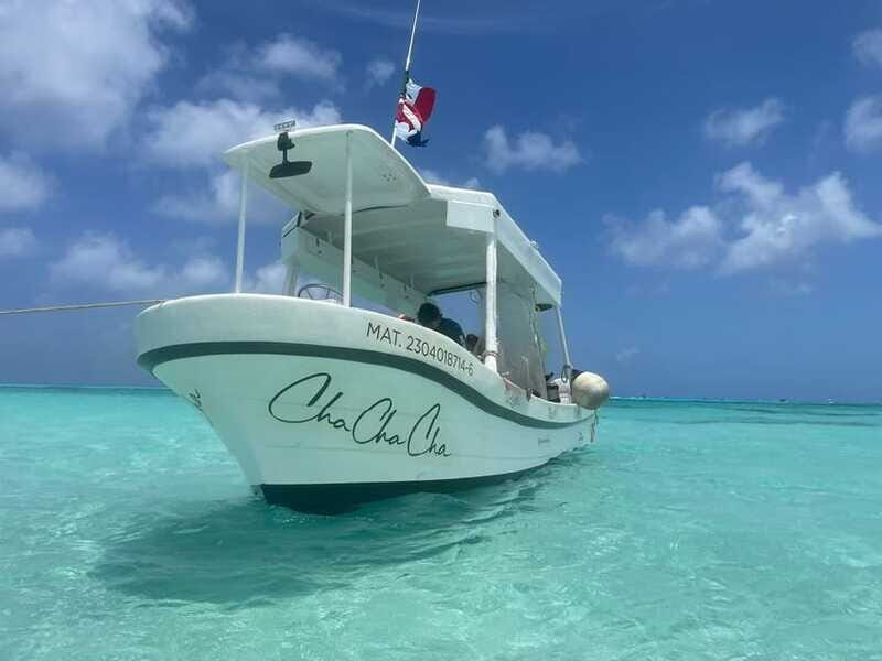 From Cozumel: Snorkel Private Charter to el Cielo & Cielito - Authentic Marine Encounters and Reviews