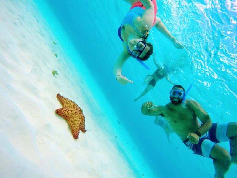 From Cozumel: Starfish, Stingrays & El Cielo Beach Snorkel - Key Points
