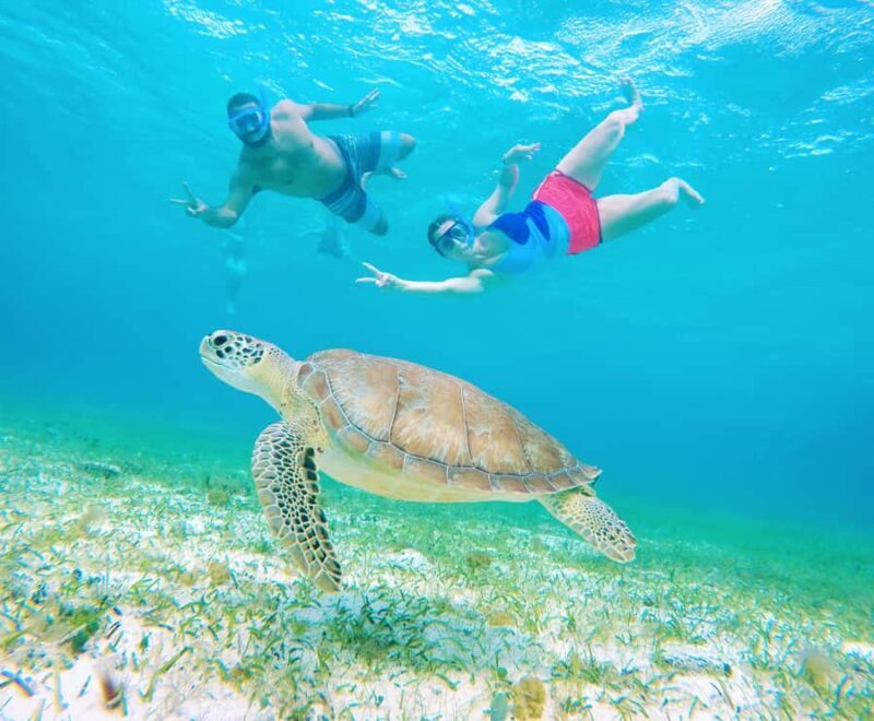 From Cozumel: Starfish, Stingrays & El Cielo Beach Snorkel - What Could Be Better?