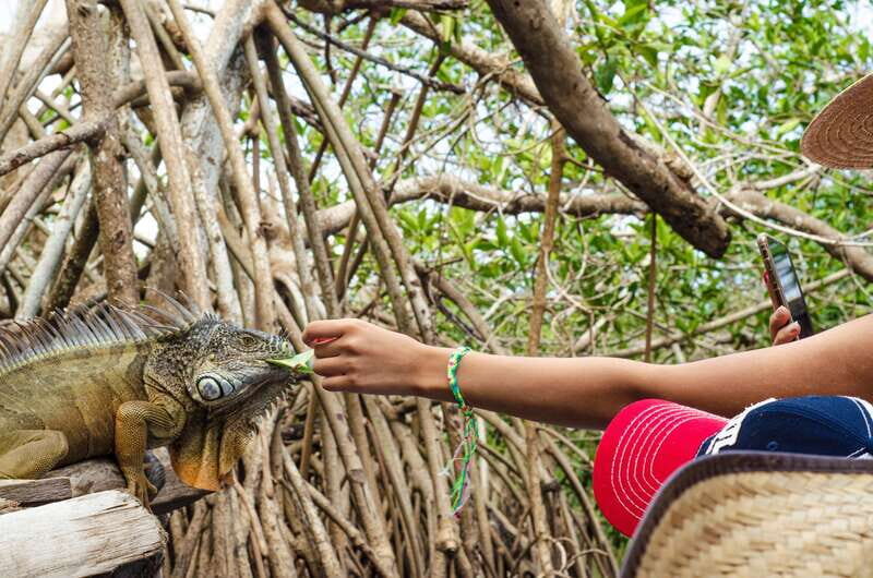 From Crucecita: Ventanilla, Zipolite, and Puerto Ángel Tour - What to Expect on the Tour