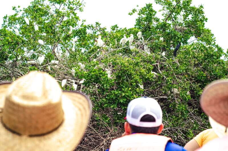 From Crucecita: Ventanilla, Zipolite, and Puerto Ángel Tour - How This Tour Feels in Practice