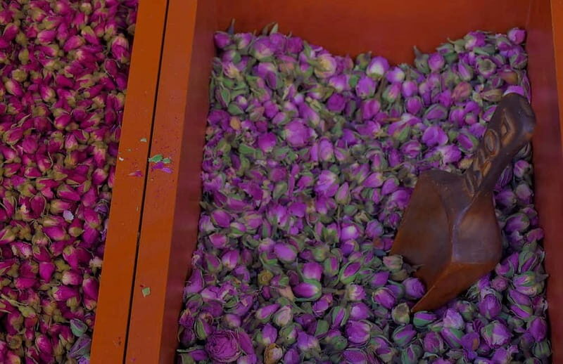 From Cruise Ship Port: Greek Food Tour + Free Time in Athens - Who is this tour best suited for?