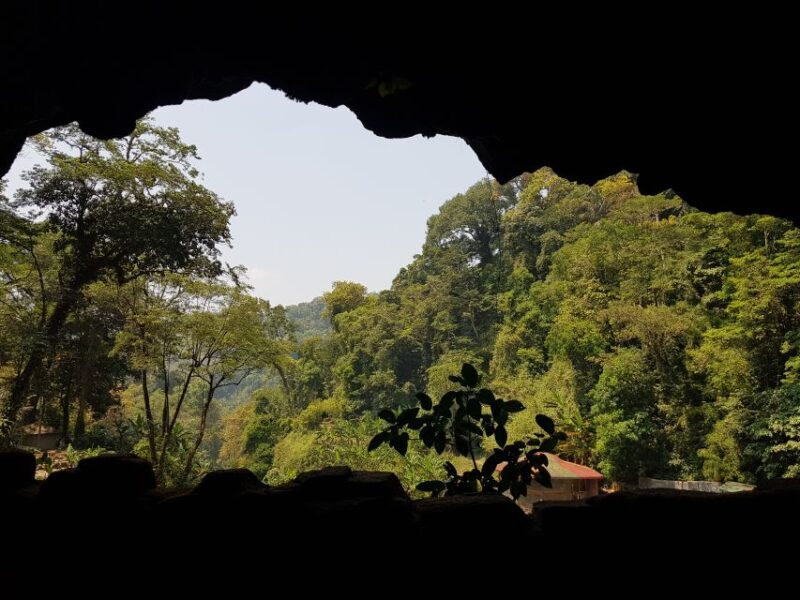 From Dalat: 4D3N Central Highlands Explorer Loop - Day 3: Dray Sap to Bao Loc — Historical routes & untouched beauty