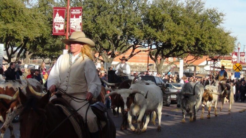 From Dallas: Fort Worth Guided Day Tour - FAQ