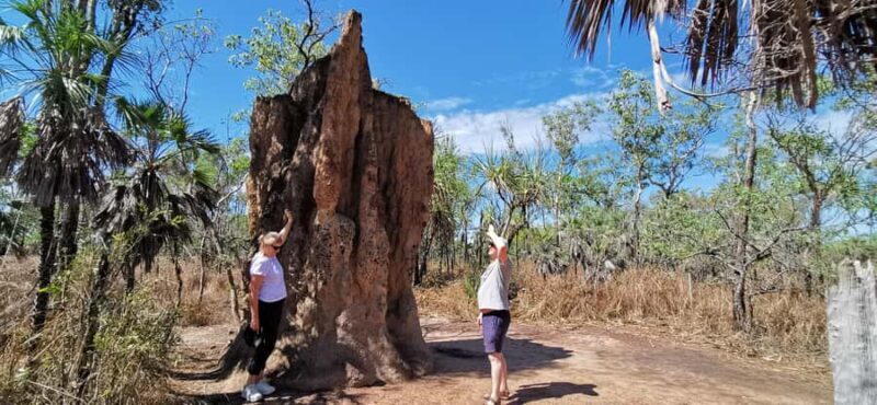 From Darwin: Litchfield National Park Small-Group Day Trip - The Itinerary: A Well-Curated Journey Through Nature and History