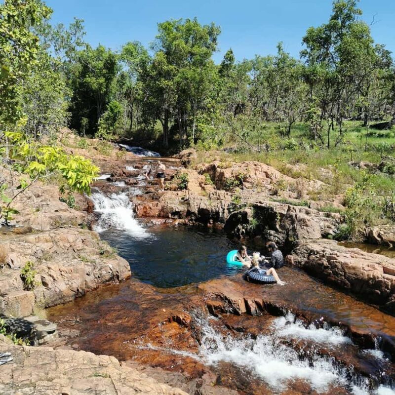 From Darwin: Litchfield National Park Small-Group Day Trip - Practical Aspects: Comfort, Food, and Value