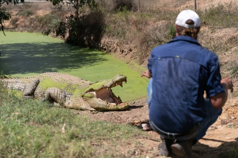 From Darwin: Top End Helicopter Ride & BBQ Cruise Day Trip - FAQs