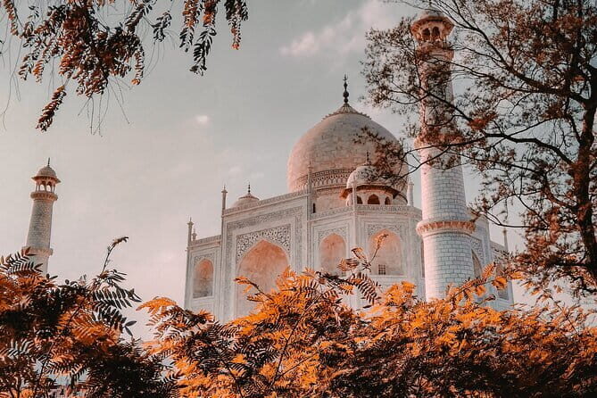 From Delhi: 2 Day Golden Triangle Tour India - An In-Depth Look at the 2-Day Golden Triangle Tour from Delhi