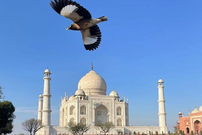 From Delhi Private Taj Mahal Sunrise and Agra Day Tour By Car - Exploring the Taj Mahal Sunrise & Agra Day Tour by Car: A Practical Review