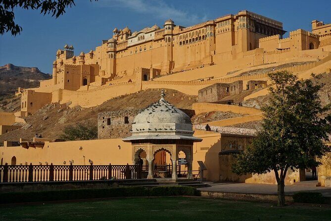 From Delhi: Same Day Amer Fort & Jaipur Tour By Car - The Full Experience: What to Expect