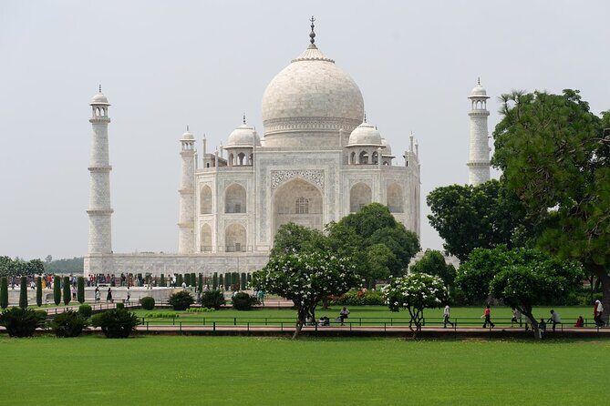 From Delhi: Taj Mahal Sunrise and Agra Fort Private Tour - What Do Past Travelers Say?