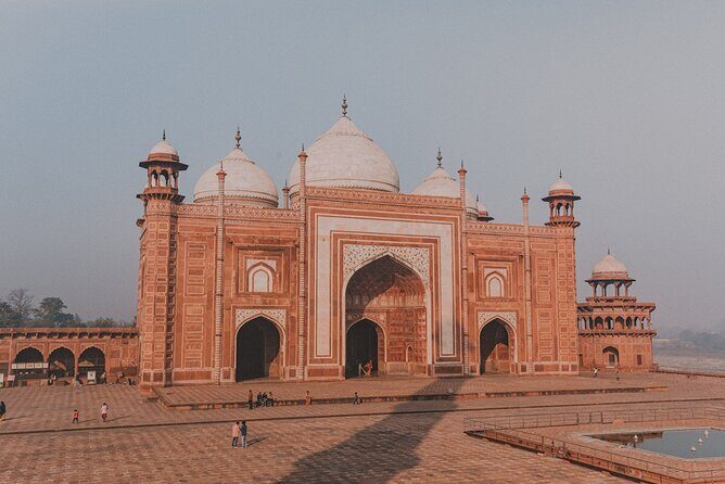 From Delhi: Taj Mahal Sunrise Tour with Elephant Conservation - An In-Depth Look at the Tour Experience