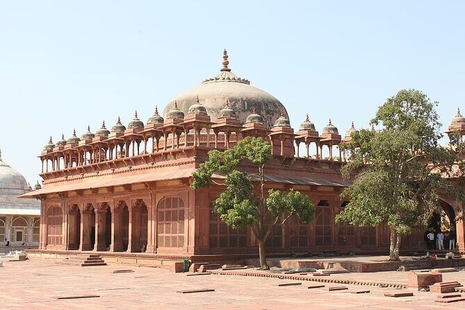 From Delhi: Taj Mahal Sunrise Tour with Elephant SOS Centre - Key Points
